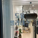 하나세인스톤2차 | 구로구청필라테스 대림역 1:1 맞춤 애견동반 후기