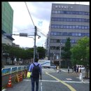 돈키호테