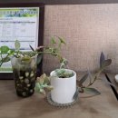 아름다운부동산 공인중개사사무소 이미지