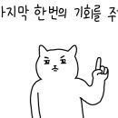 평화오토 이미지