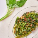 모닝글로리 이미지