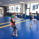 나토얀 태권도장 이미지