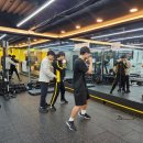 드래곤복싱클럽 | [마두동백마복싱장] 드래곤복싱클럽 백마점 회원분들의 찐 후기!!🤭🤭