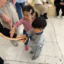 애니멀클럽 | 송도 애니멀클럽 솔직후기 | 재방문은 글쎄, 키즈카페는 추천!