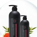 샴프네집 이미지