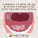 태선위생 이미지