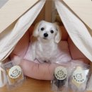 해피웅쓰데이 이미지