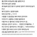 강아지 회사 데리고 갔다가 무수히 많은 악수의 요청이 들어온 사람.jpg 이미지