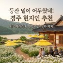 경주 가볼 만한 곳] 등잔 밑이 어두웠네, 샤스타데이지 만발한 경주 한옥카페 ‘바실라’ 현지인 솔직 후기