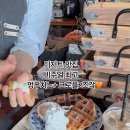 별똥구리