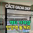 안양 엔터식스 캑티가챠샵 후기｜가챠부터 가격·위치까지 총정리