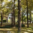 학운공원내 이미지