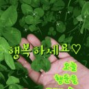 다감님~ 방가방가~빵긋빵긋요 이미지