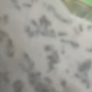 진성분식 이미지
