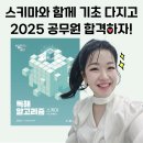 ✨2025 독해알고리즘_스키마/딥러닝 안내✨ 이미지