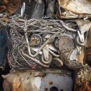 신성환경 이미지