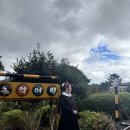 선녀와 강아지 | 애견동반제주여행 강아지와 함께한 선녀와 나무꾼 테마공원 후기