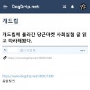 당근마켓 사회 실험 따라해본 유머대장 유저 이미지