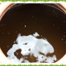 이영희민박 이미지