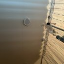 강남항외과의원 | 20대 여자 내치질 수술 후기 병원 추천 드립니다