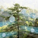 지엔컴퍼니 이미지