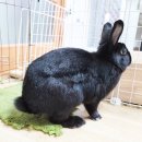 동진동물병원 이미지