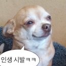 중계2.3동 주민센터 입구 | [면접 준비] 달콤정장 정장대여 태릉점 / 노원청년센터 공간대여 / 하이포 면접 준비