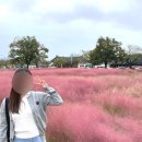 GS25경주첨성대점 이미지