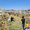 과일나라테마공원3 이미지