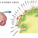 창의보드게임 이미지