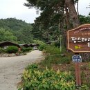 신기팜스테이빌리지 이미지