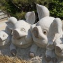 금돈농장 이미지