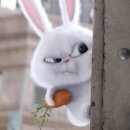 마이펫의 이중생활 이미지