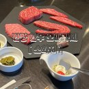 소화지