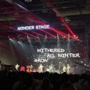 영광스틸 | [251116] WONDERLIVET 2025 후기 / QUEEN BEE 한로로 이승윤 10CM 스파이 에어