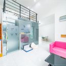 딩동댕애견스파풀빌라 이미지