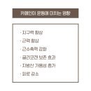 로하핏스튜디오 이미지