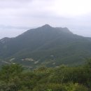 응봉산(鷹峰山) 이미지