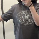 5064 | 가성비 좋은 여름 여성 반팔티 추천, 시야쥬 반팔티 SITP5064 Basset Hound T-shirt 차콜 색상 후기