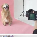 오팔농장 이미지