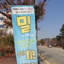 탕정면 탕정로 이미지