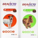 늘픔온누리약국 이미지