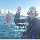 추억이 있는 바다 | 서귀포 배낚시 체험 추천 영일호바다배낚시체험 제주도 바다 위 추억 만들기