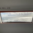 구룡포 유니의 바다 이미지