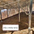 형태양광발전소 이미지