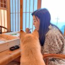 당근료칸풀빌라 이미지