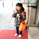 통큰딱따구리 이미지