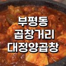 내돈내산 부평동 대정양곱창 솔직후기