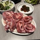 명육 이미지