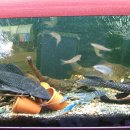 평화로운세상 이미지